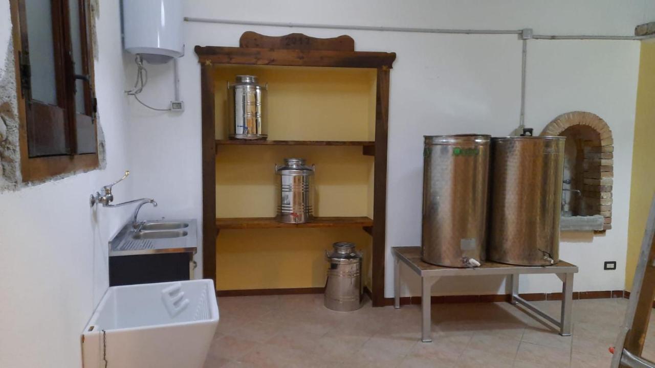 Agriturismo Albero Del Miele Villa San Rufo Dış mekan fotoğraf