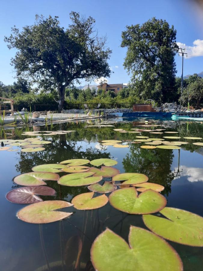 Agriturismo Albero Del Miele Villa San Rufo Dış mekan fotoğraf