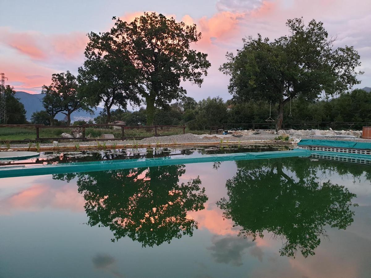 Agriturismo Albero Del Miele Villa San Rufo Dış mekan fotoğraf